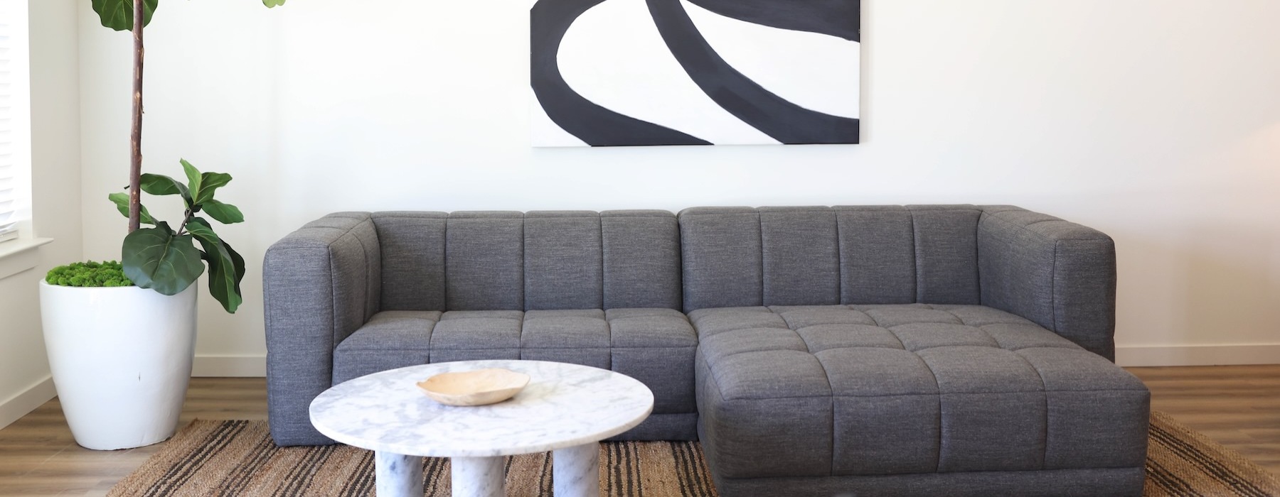 a room with a couch and a plant